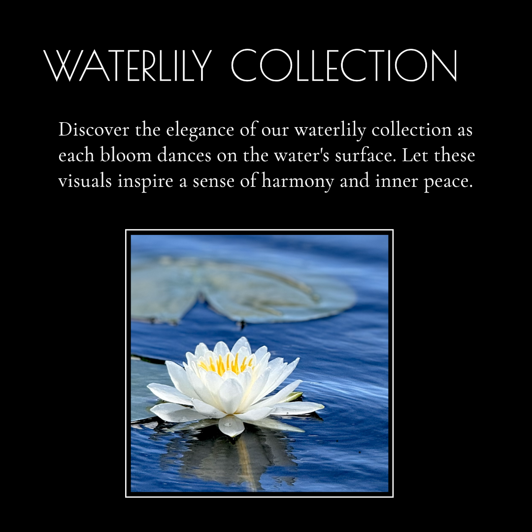 ART WATERLILY COLLECTION